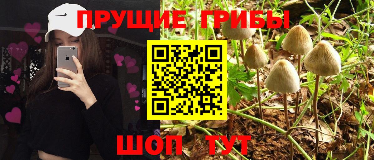 Галлюциногенные грибы мухоморы Красногорск